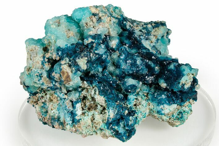 Vibrant Blue Veszelyite Crystals on Hemimorphite - Congo #355932